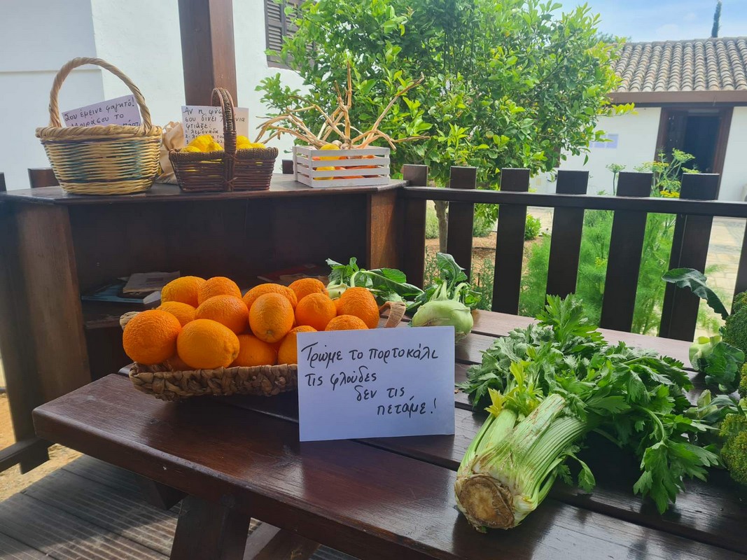 Μαθαίνω παίζοντας πώς να μην σπαταλώ τα τρόφιμα – Περιβαλλοντικό πανηγύρι για τη μείωση της σπατάλης τροφίμων που διοργανώθηκε στις 22 Απριλίου 2023 από τη Μονάδα Εκπαίδευσης για το Περιβάλλον και την Αειφόρο Ανάπτυξη στο Κέντρο Περιβαλλοντικής Εκπαίδευσης Αθαλάσσας