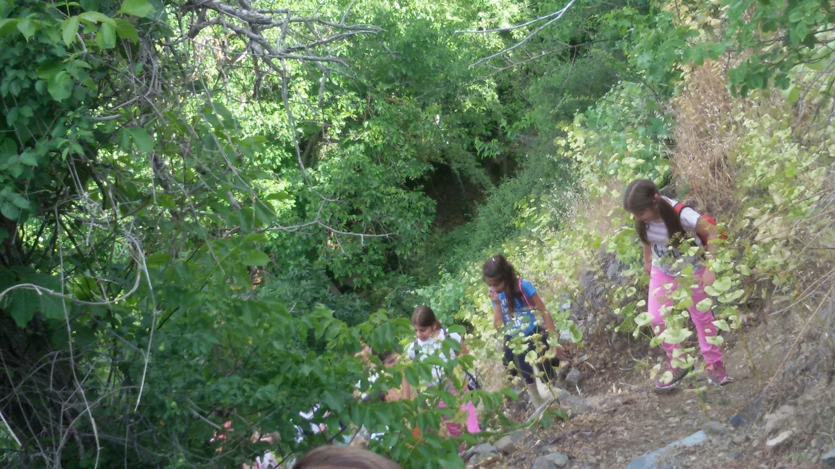 Κέντρο Περιβαλλοντικής Εκπαίδευσης Πεδουλά