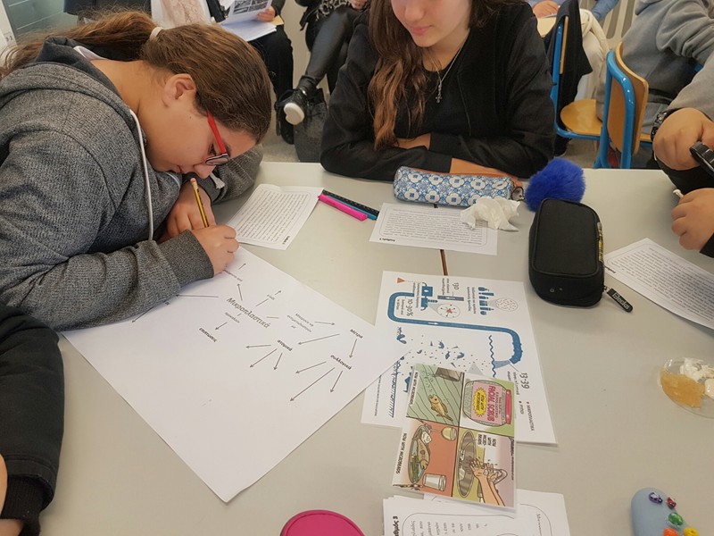 Εξωραϊσμός της σχολικής αυλής μέσω της μείωσης των απορριμμάτων και της δημιουργίας χώρων πρασίνου